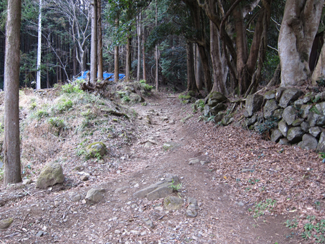 20190214hike (184)